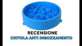 Recensione Ciotola per Cani Voraci [upl. by Acinahs583]