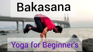 How to do Bakasana  Bakasana  Bakasana for Beginners  Yoga Arm Balance Tutorial  vinayakyogpeeth [upl. by Nailil]