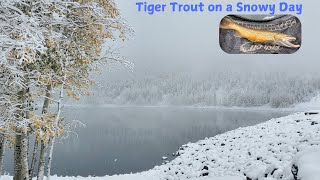 Tiger Trout Fly Fishing  Snowy Day in Utah [upl. by Notxap360]