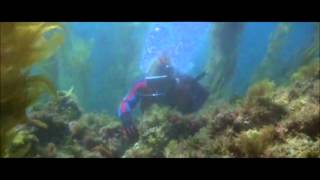 Jaws 2  Der weisse Hai Diving Scene [upl. by Gredel]