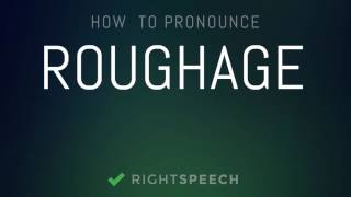 Roughage  How to pronounce Roughage [upl. by Laertnom530]