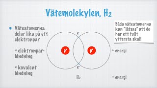 Kovalent bindning [upl. by Xonel]