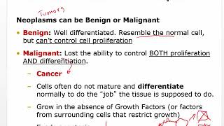 Pathophysiology of Cancer [upl. by Ally]