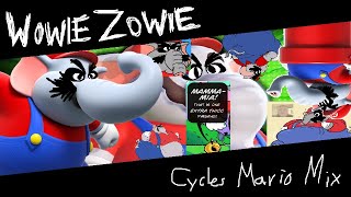 FNF FLP Wowie Zowie Cycles Mario Mix what have I done [upl. by Sessler570]