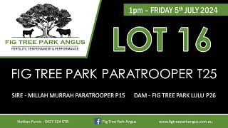 LOT 16  Fig Tree Park Paratrooper T25 [upl. by Siblee]