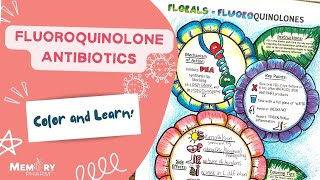 Fluoroquinolones Made Easy Mnemonics Mechanism of Action Side Effects Counseling [upl. by Anyahs]