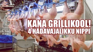 4 hädavajalikku nippi kana grillimiseks [upl. by Yssor]