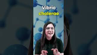 Vibrio Cholerae Causes Symptoms Prevention and Diagnosis neet garimagoel vibrio cholerae [upl. by Otsedom]