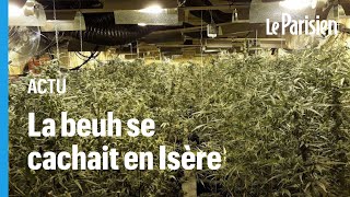 Le réseau albanais faisait pousser son cannabis dans un petit village français [upl. by Acinorev]