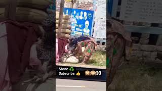 Chorni 23 india 🇮🇳 panjab farmar chori like farming panjab india viralreels shortvideo [upl. by Bertila44]