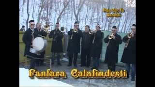 Fanfara Trandafirul din Calafindesti la Dorohoi 20122013 [upl. by Armillda593]