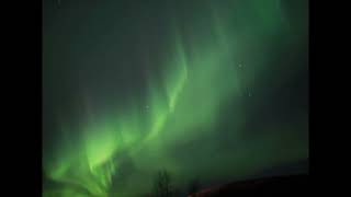 Aurora Borealis 20231105 Calgary AB [upl. by Onailil357]