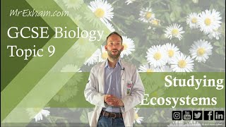 Studying Ecosystems  Core Practicals  GCSE Biology 91 95  96 [upl. by Berthe]