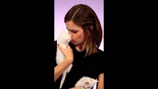 Emma Watson with kittens  instant serotonin boost [upl. by Eilrac]