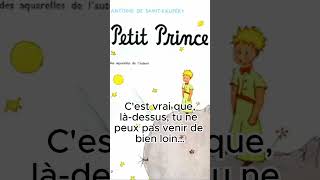 Le Petit Prince 011 bookrecommendations citation histoire [upl. by Donelle]