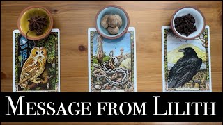 ✨Channeled Message from Lilith✨Pick a Card  Tarot Reading [upl. by Anilatsyrc200]