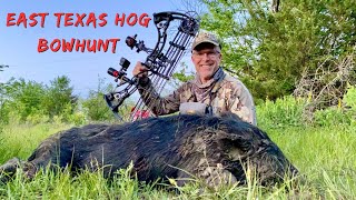 EAST TEXAS HOG BOWHUNT SEVR amp TRIFECTA Broadheads [upl. by D'Arcy]