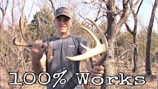 Find More Sheds In 2023 Shed HUNTING TIPS 100 Works [upl. by Sevik]