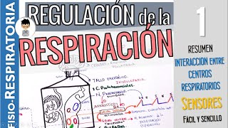 REGULACIÓN DE LA RESPIRACIÓN Resumen QUIMIORECEPTORES para la pO2 pCO2 Fisiología Respiratoria1 [upl. by Bish]