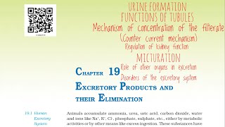 Excretory products and their elimination NCERT Part  3 For NEET [upl. by Netsirhc]