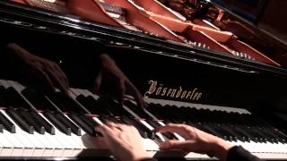 Schubert Liszt Des Mädchens Klage quotThe Maidens Lament quot Valentina Lisitsa [upl. by Marris54]