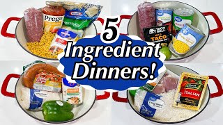 5 TASTY ONE POT MEALS  5INGREDIENT RECIPES  DINNERS MADE FAST amp EASY  JULIA PACHECO [upl. by Joao]