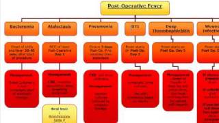 Surgery Algorithm PostOperative fever [upl. by Eissel]