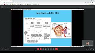 FISIOPATOLOGIA DE LA INSUFICIENCIA RENAL [upl. by Firman]