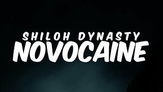 NOVOCAINE  Shiloh Dynasty  Lyrics [upl. by Padget]