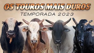 OS TOUROS MAIS DUROS DE 2023 [upl. by Moyers]