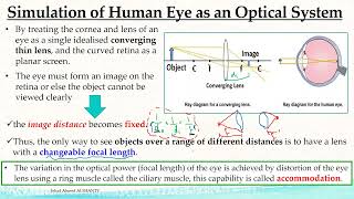 Emmetropia Vs Vision Defects  الفيزياء الحيوية [upl. by Krahmer82]