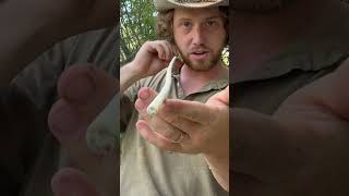 Skipping Arrow for Duck Hunting survival archery outdoors camping nature bushcraft primitive [upl. by Larrej983]