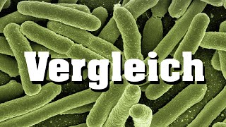 Vergleich Eukaryoten Prokaryoten [upl. by Charlet]
