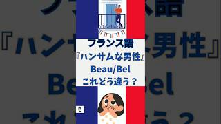 🇫🇷 フランス語の形容詞『ハンサムな』男性の言い方、これどう違う？ハンサムな男性 ハンサムだね shorts [upl. by Norb]