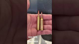 6mm Remington vs 6mm Creedmoor [upl. by Norb]