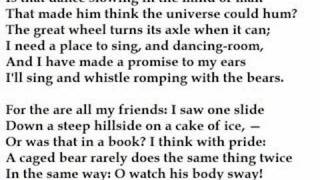 quotThe Dancequot by Theodore Roethke read by Tom OBedlam [upl. by Eam]