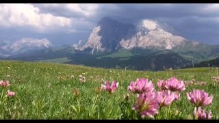 Magic Summer in the Dolomites with Paradiso PureLiving [upl. by Franky947]