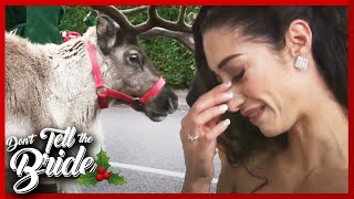 Married on a SKI SLOPE feat Reindeers  Don’t Tell The Bride [upl. by Isle82]