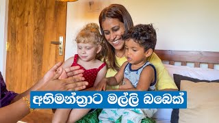 Relaxing Family Trip  Serenity Boutique Unawatuna  Sri Lankan Mom [upl. by Codi]