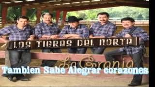 Detalles los tigres del norte con letra [upl. by Noreik987]