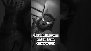 Introvert and extrovert fox lyrics aesthetic song music 🦊 [upl. by Anitserp]