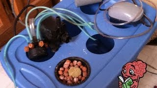 How to Grow Hydro Weed Indoors  Equipment List and Set Up [upl. by Gav]