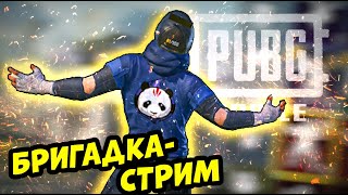 СТРИМ  PUBG MOBILE MALAMADROS shorts [upl. by Ociram]