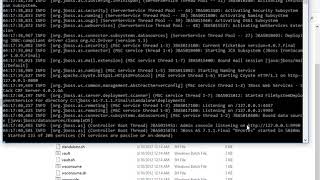 JBoss 711 Installation in Windows 10 with Oracle JDK 7 Java 7 [upl. by Ayeki225]