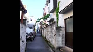 Nippori in Tokyo 🐶🍻 Narrow Road ♪💖Break Time🍹 shorts japan walk [upl. by Hesler544]