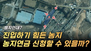 들어갈 수가 없는 완전 맹지 현장에 가보면 완전 다릅니다 농기계 진출입을 할 수가 없는데 농지연금 꿈 깨 [upl. by Kelleher]