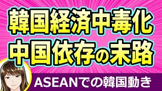 中国がダメならASEANに！？出遅れた韓国ユン大統領は焦って日中韓経済連携強化を強調！ [upl. by Terrab]