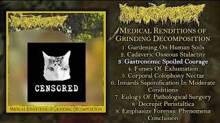 Pharmacist  Medical Renditions Of Grinding Decomposition FULL ALBUM 2020  Goregrind  Deathgrind [upl. by Xavler188]