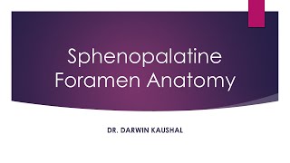 Sphenopalatine foramen anatomy [upl. by Atiraj]