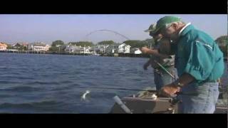 Flounder Fishing in Belmar NJ on the Shark River [upl. by Furie]